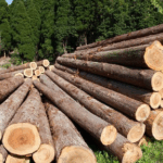 Incautan camión con madera ilegal en Guáigüí, Jarabacoa