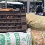 DICRIM apresa a dos personas por transporte ilegal de carbón en Jarabacoa