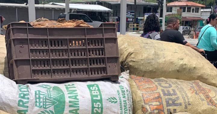 DICRIM apresa a dos personas por transporte ilegal de carbón en Jarabacoa